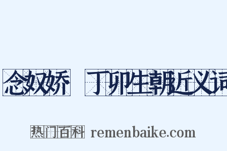 念奴娇·丁卯生朝近义词是什么意思的图片